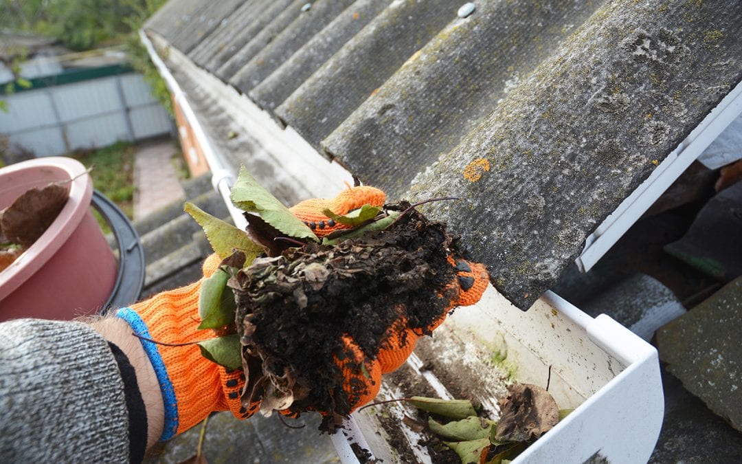 clean gutters