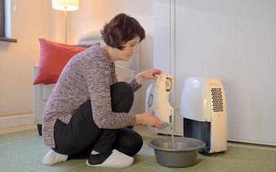 Learn How to Reduce Humidity in Your Home With This Guide
