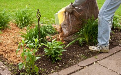 5 Home Maintenance Costs That May Catch You Off-Guard